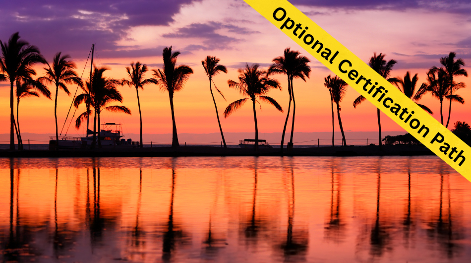 Treating Racial Trauma & Anti-Racism