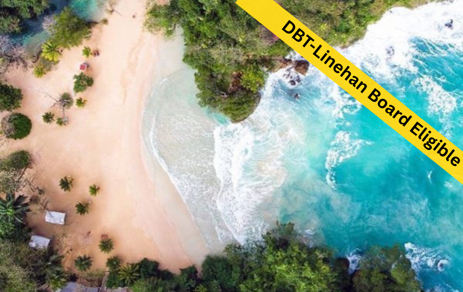 DBT Skills for Everyday Practice